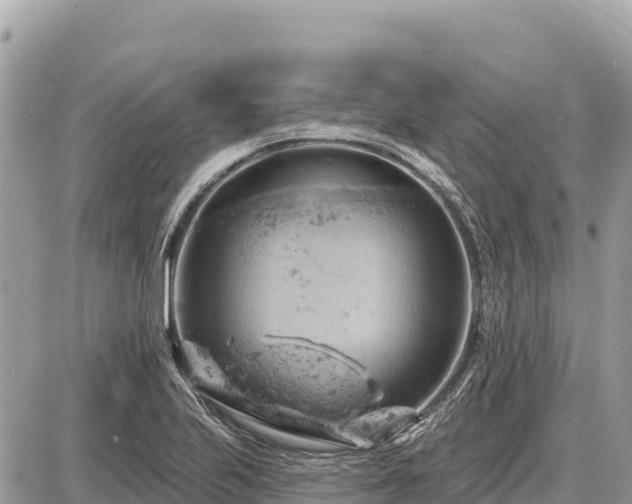 X0000087551223200705041319