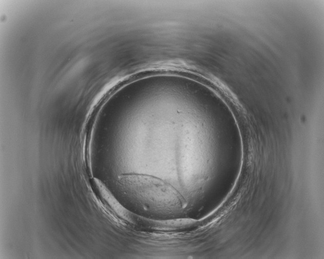 X0000087551224200705041319