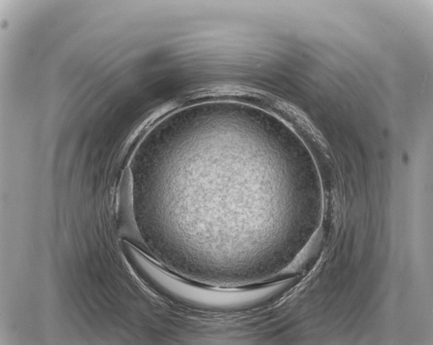 X0000087551225200705041319