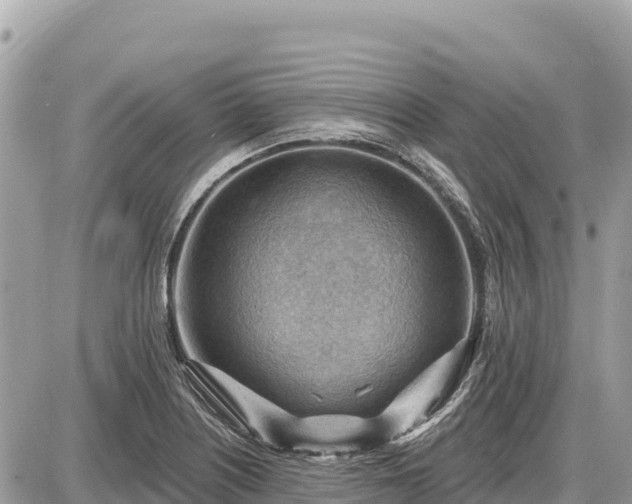 X0000087551226200705041319