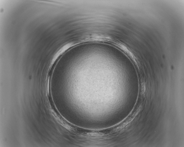 X0000087551227200705041319