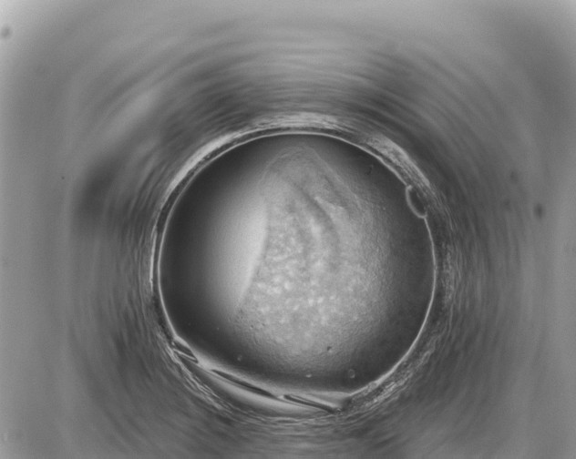 X0000087551228200705041319