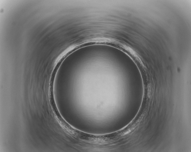 X0000087551229200705041320