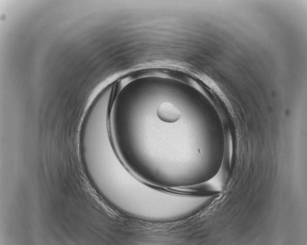 X0000087551230200705041320