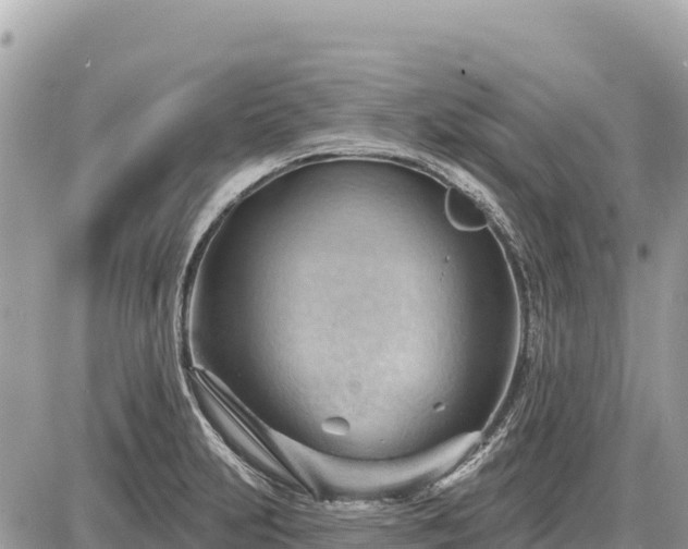 X0000087551231200705041320