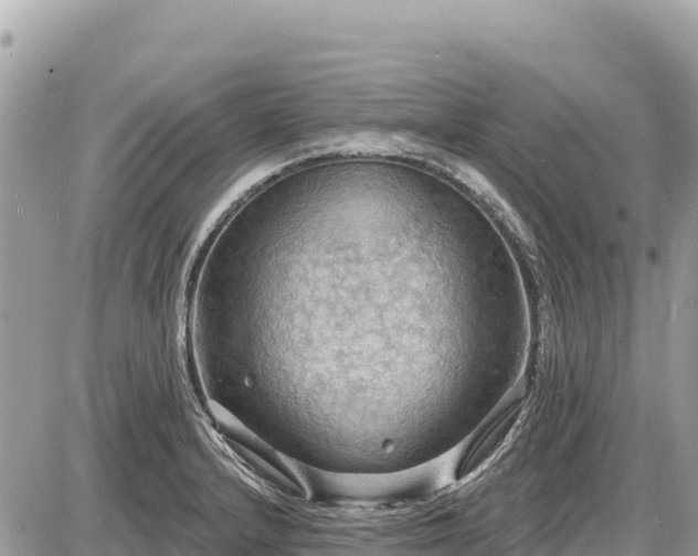 X0000087551232200705041320