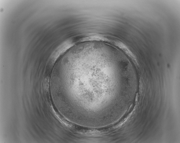 X0000087551233200705041320