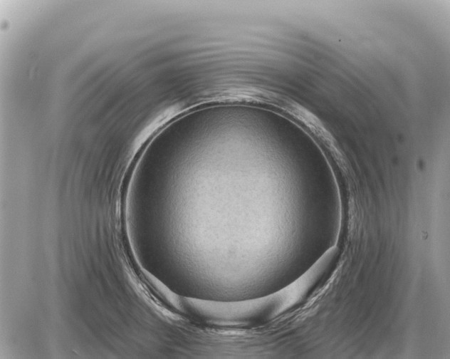 X0000087551234200705041320