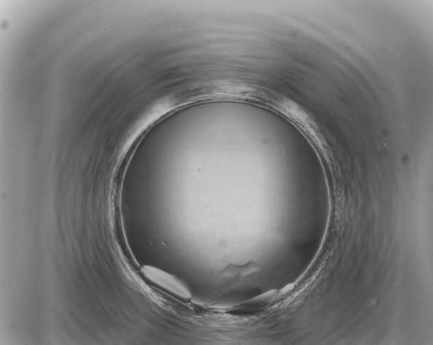 X0000087551235200705041320