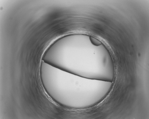 X0000087551236200705041320