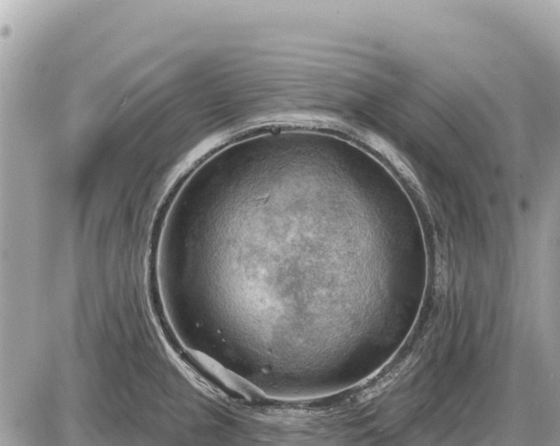 X0000087551237200705041320