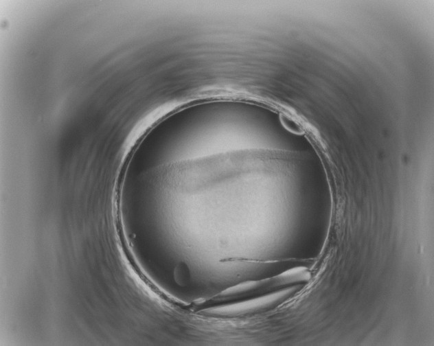 X0000087551239200705041320