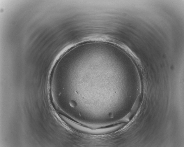 X0000087551240200705041320