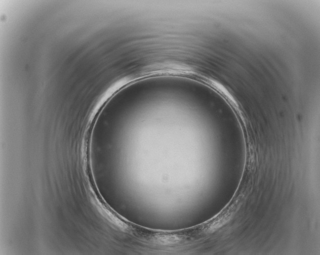 X0000087551243200705041320