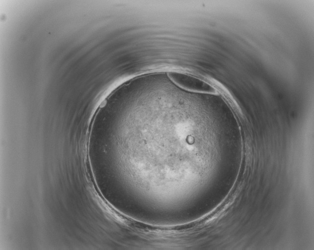 X0000087551244200705041320