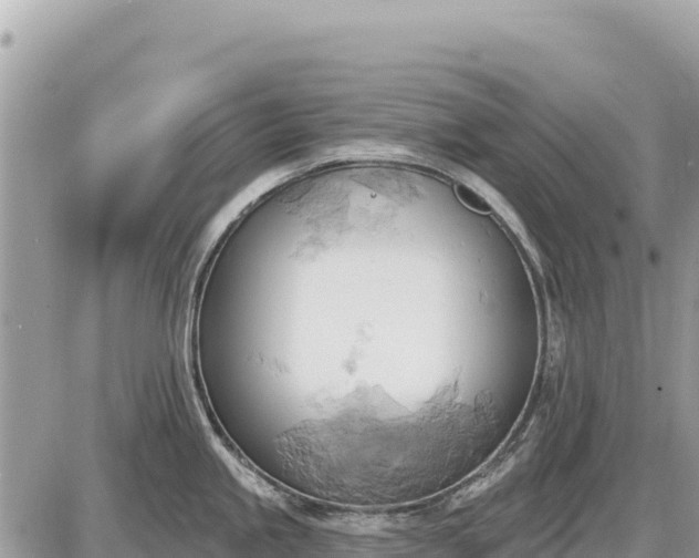 X0000087551245200705041320