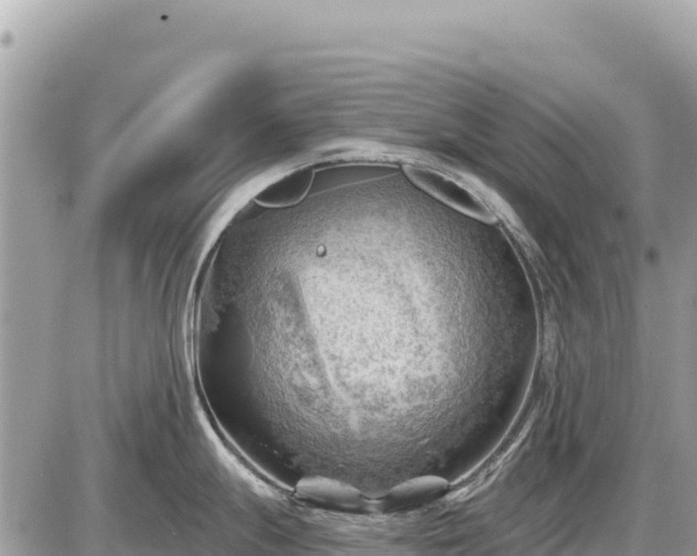 X0000087551247200705041320