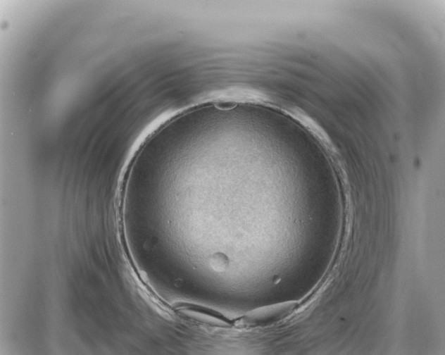 X0000087551248200705041320