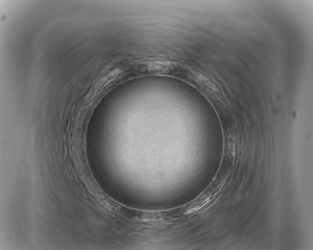 X0000087551249200705041319