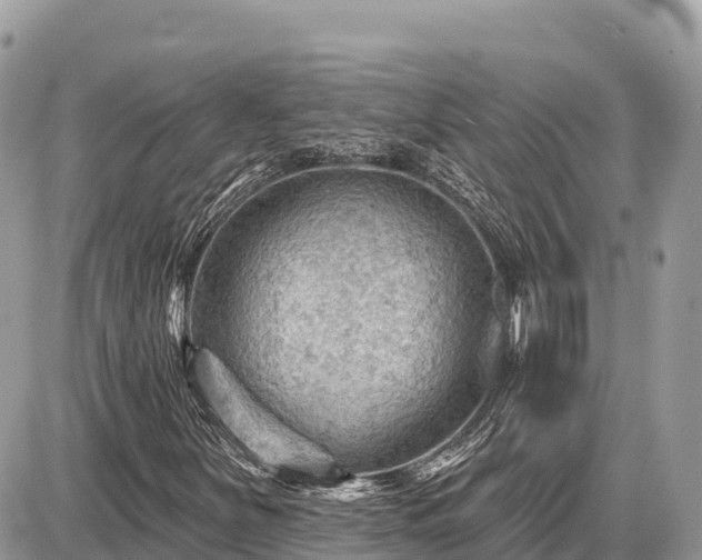 X0000087551251200705041319