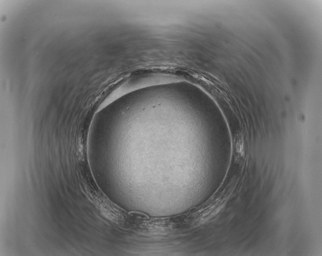 X0000087551252200705041319