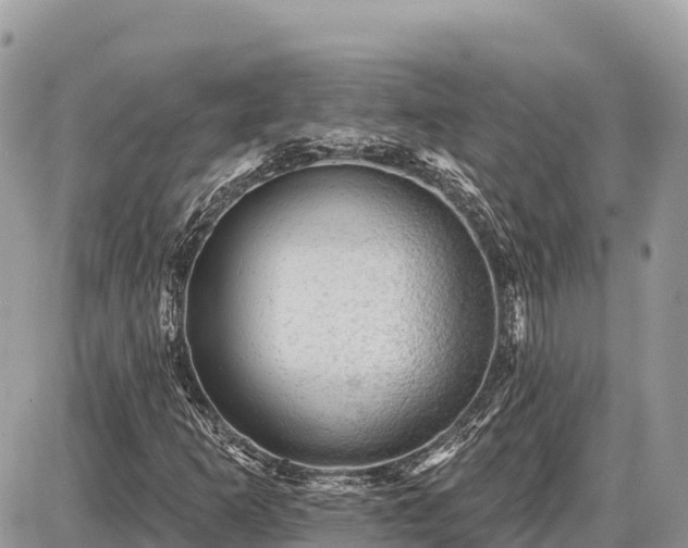 X0000087551253200705041319