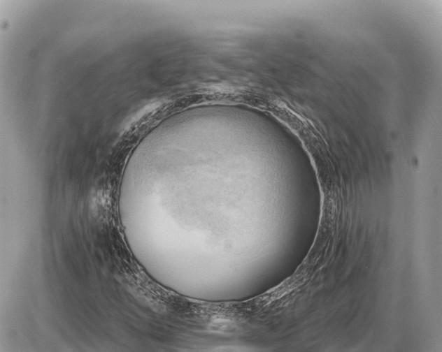 X0000087551254200705041319