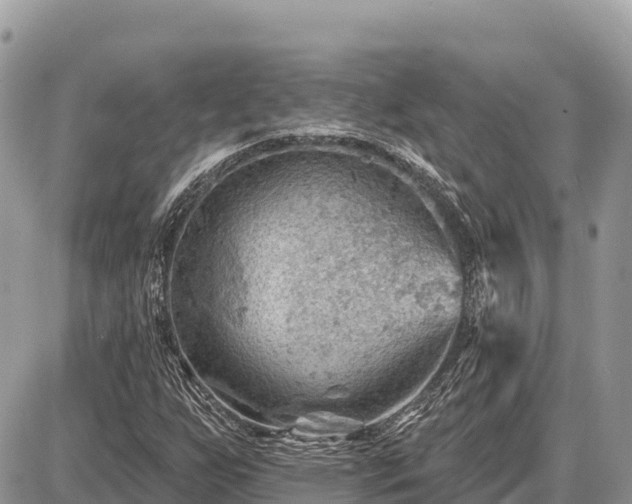 X0000087551255200705041319