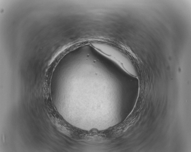 X0000087551256200705041319