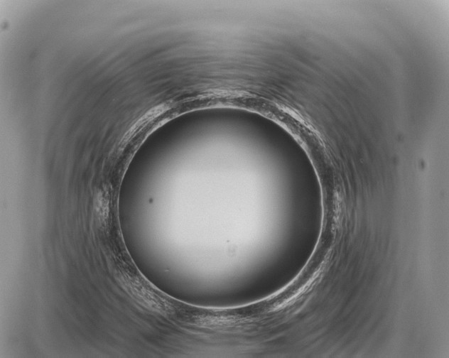 X0000087551257200705041319