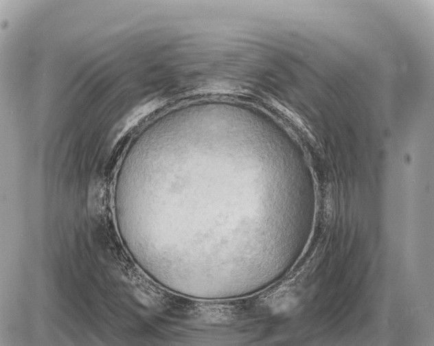 X0000087551258200705041319