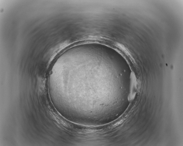 X0000087551260200705041319