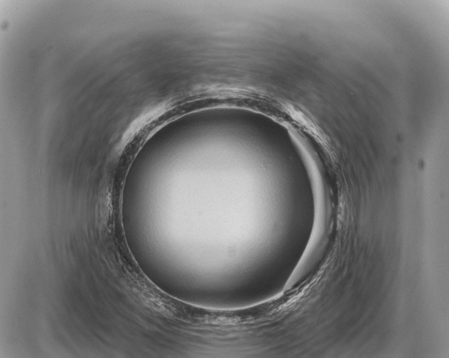 X0000087551261200705041319