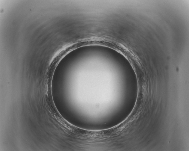 X0000087551262200705041319