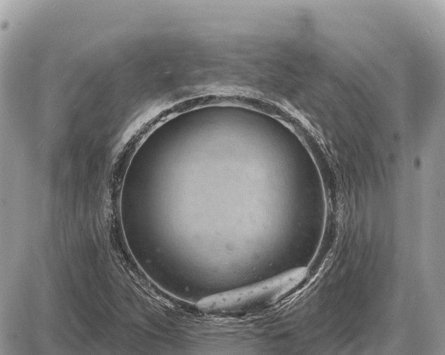 X0000087551263200705041319