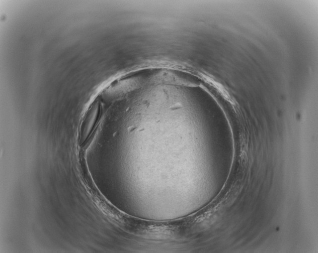 X0000087551264200705041319