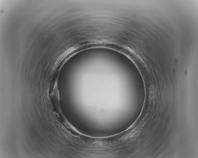 X0000087551265200705041319