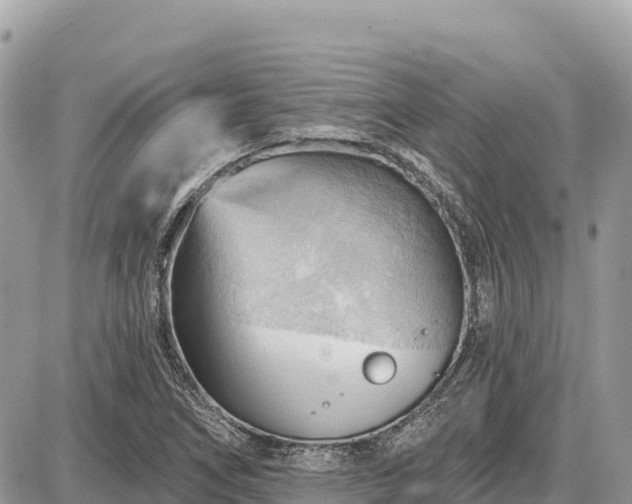 X0000087551266200705041319