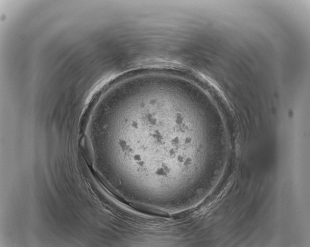 X0000087551267200705041319