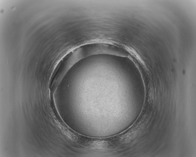 X0000087551268200705041319