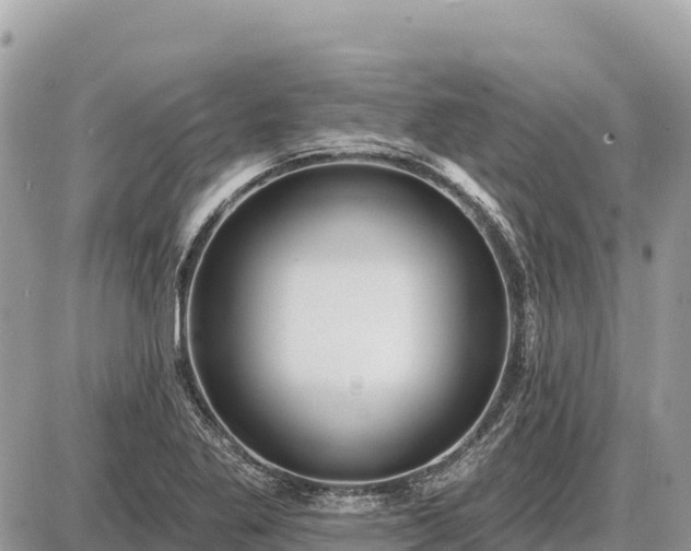 X0000087551269200705041319