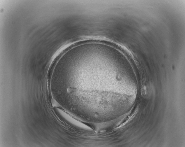 X0000087551271200705041319