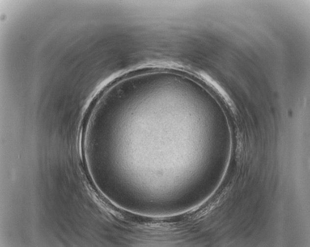 X0000087551272200705041319