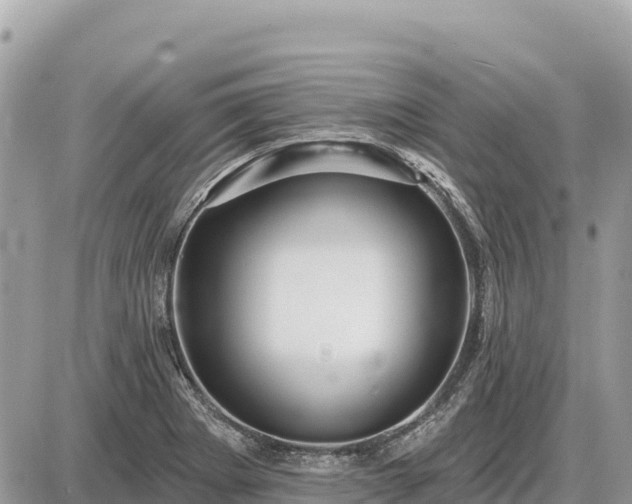 X0000087551273200705041319