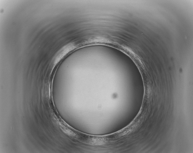 X0000087551274200705041319