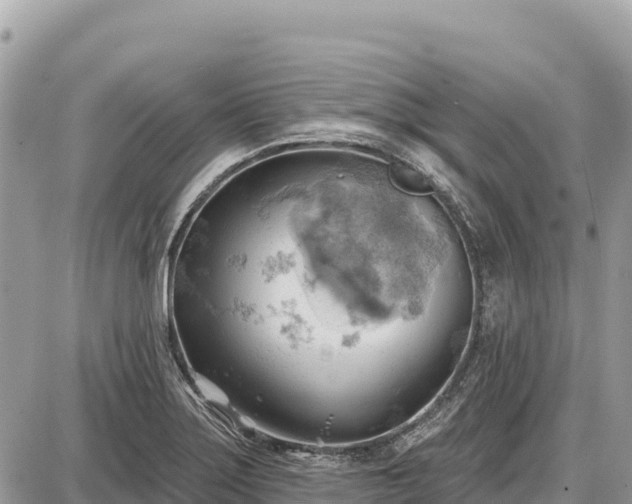 X0000087551275200705041319