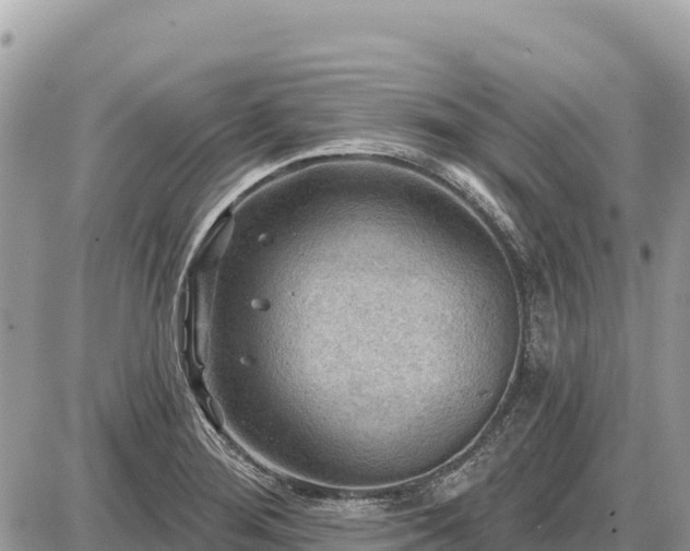 X0000087551276200705041319