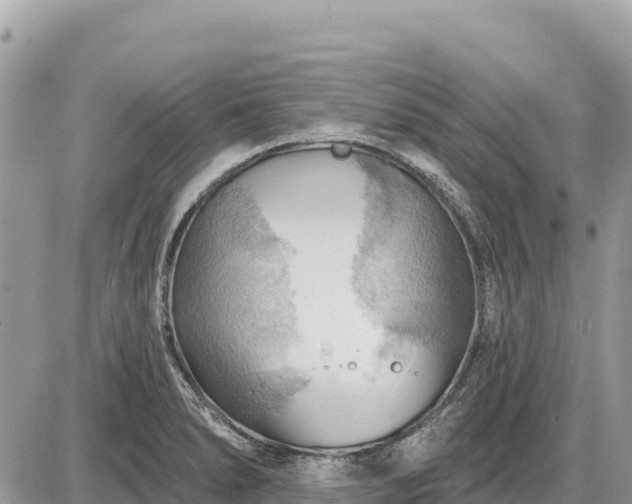 X0000087551278200705041319