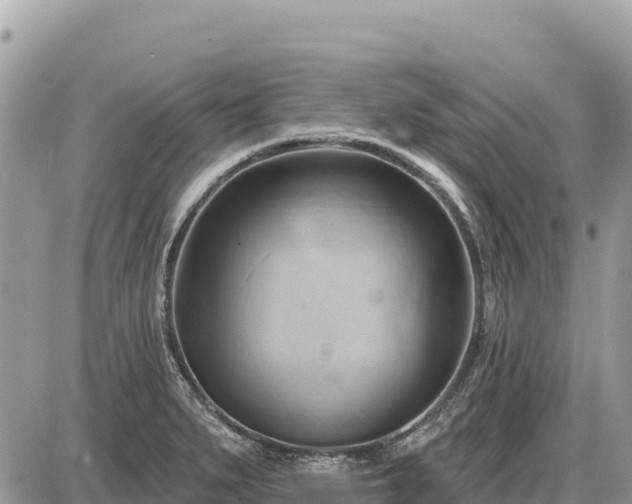 X0000087551279200705041319