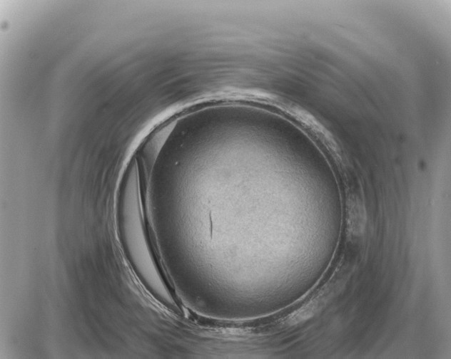 X0000087551280200705041319